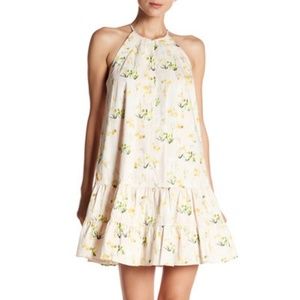 Rebecca taylor Cotton Ballet Combo Trapeze dress